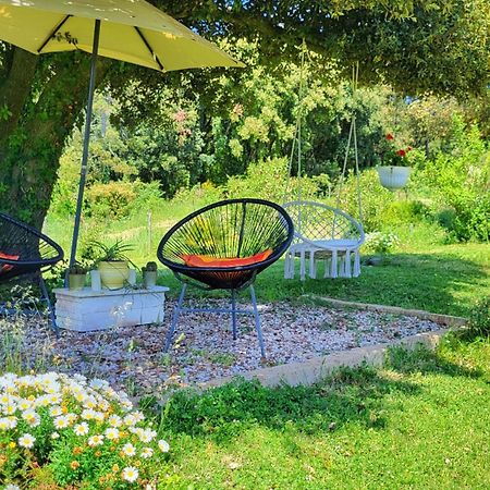 Agriturismo Podere Le Palaie Monterotondo  Zewnętrze zdjęcie