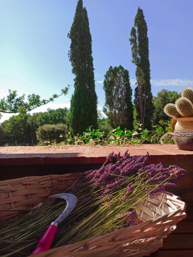 Agriturismo Podere Le Palaie Monterotondo  Zewnętrze zdjęcie