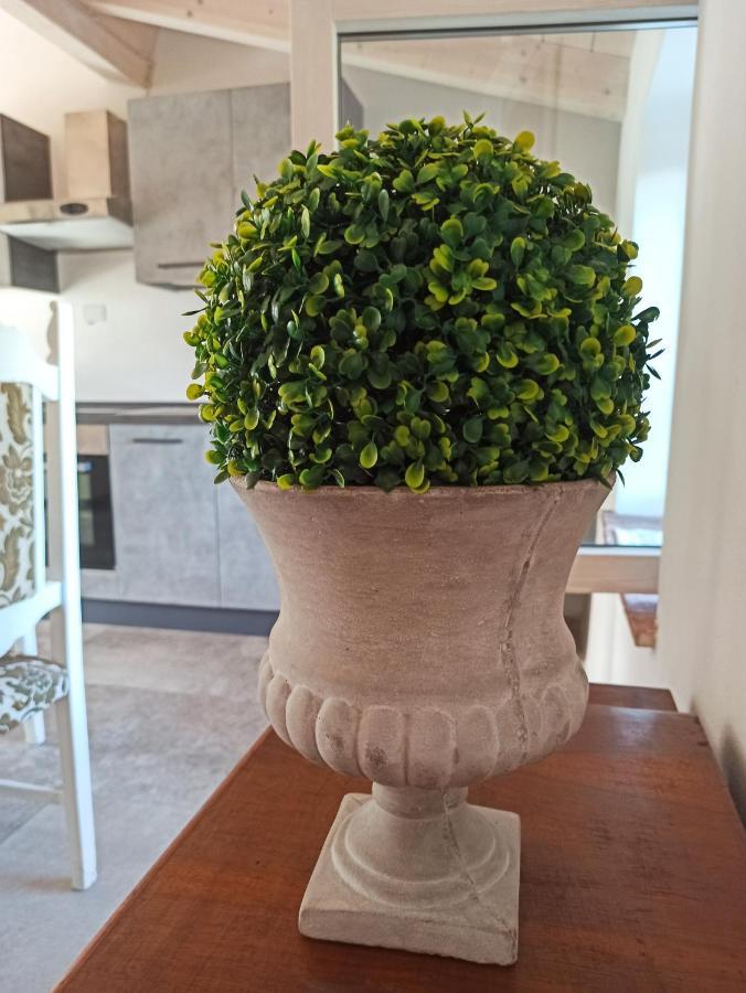 Agriturismo Podere Le Palaie Monterotondo  Zewnętrze zdjęcie