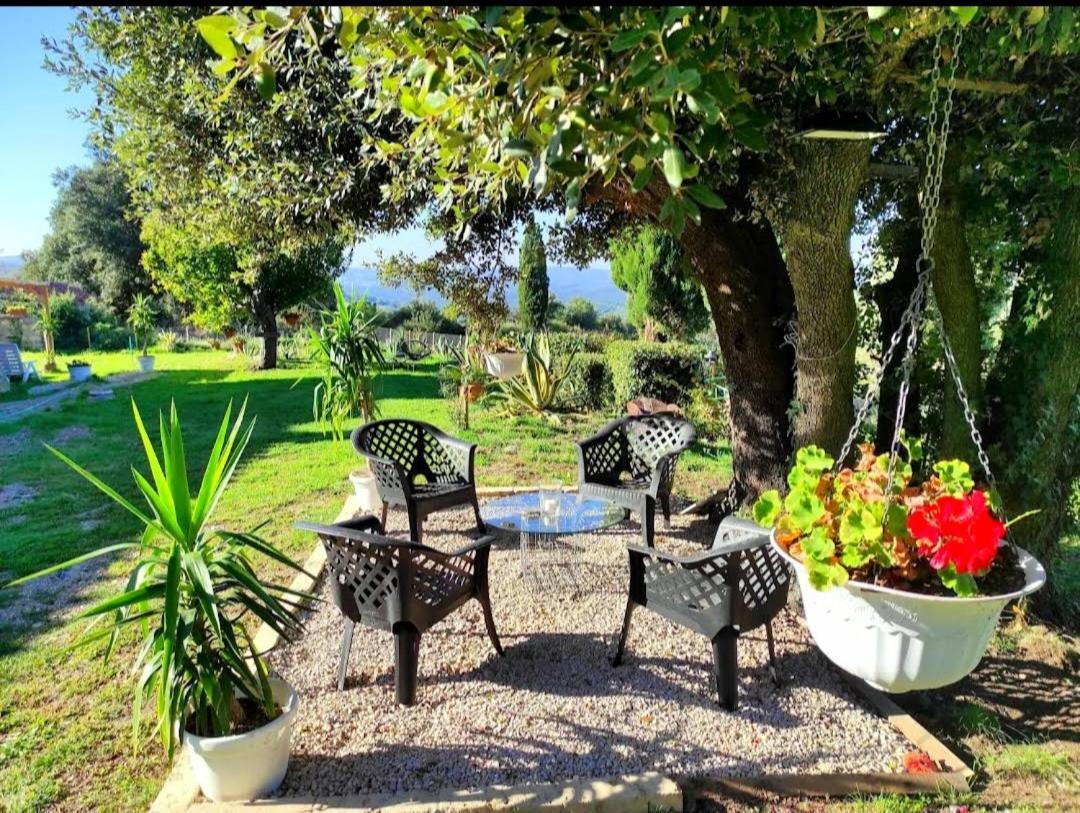 Agriturismo Podere Le Palaie Monterotondo  Zewnętrze zdjęcie