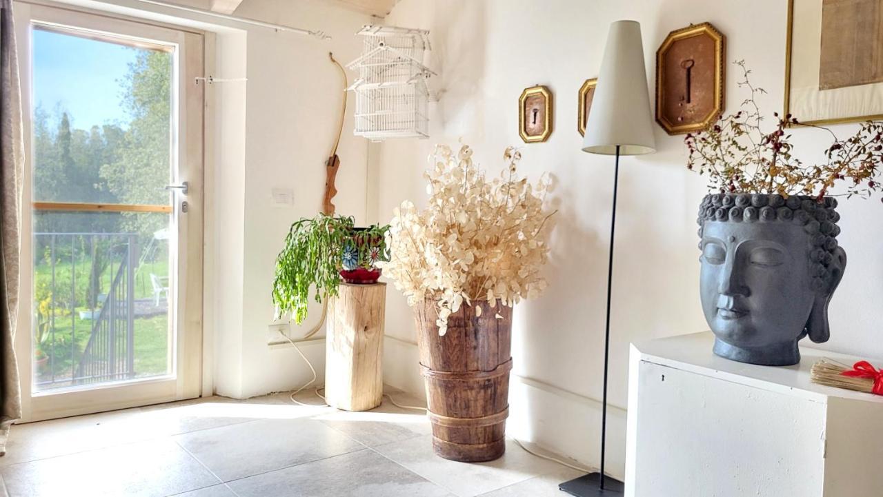 Agriturismo Podere Le Palaie Monterotondo  Pokój zdjęcie