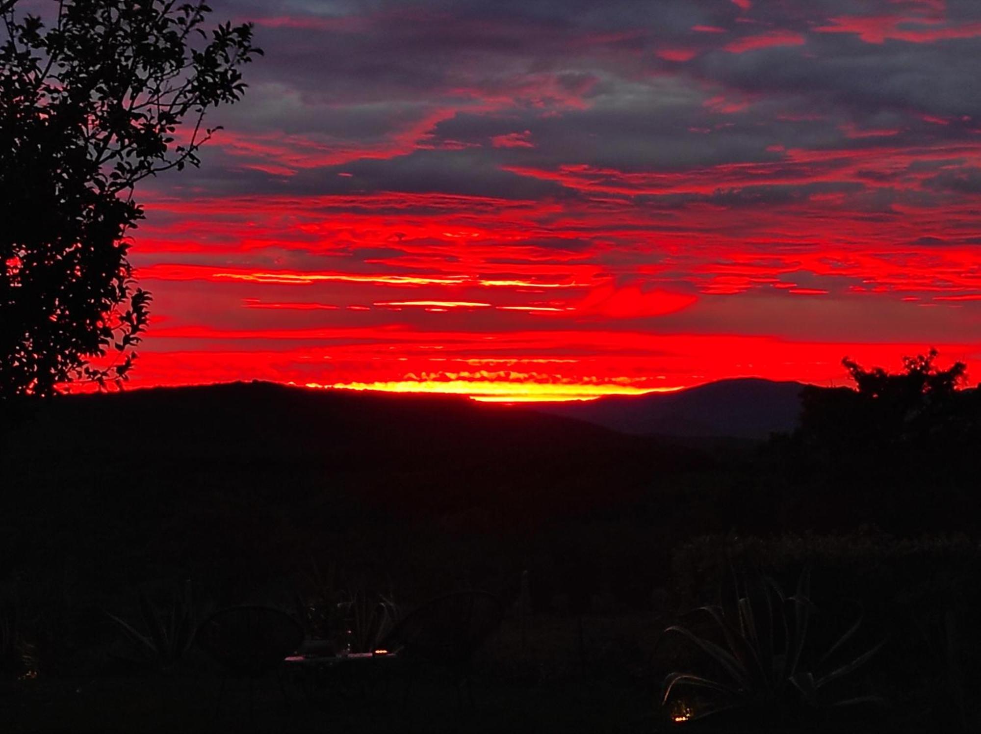 Agriturismo Podere Le Palaie Monterotondo  Pokój zdjęcie