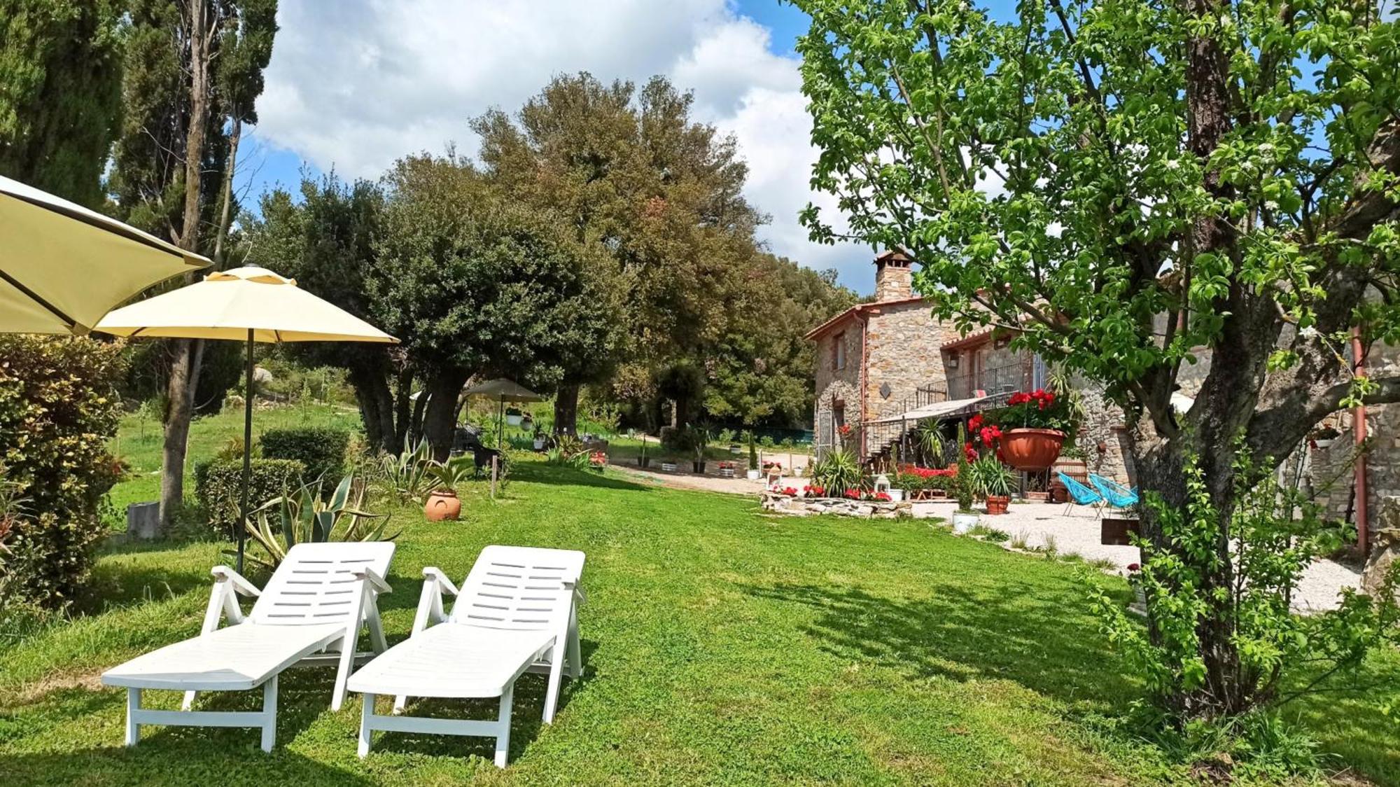 Agriturismo Podere Le Palaie Monterotondo  Pokój zdjęcie